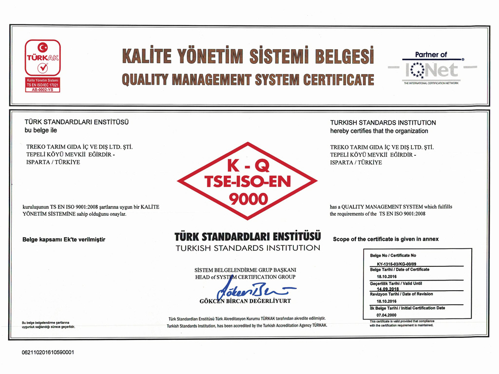 TSE EN ISO 9000